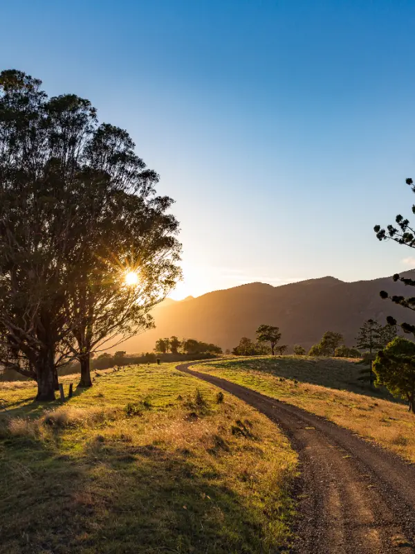 Long-distance home movers South East Queensland