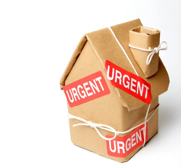Last-minute and emergency movers South East Queensland